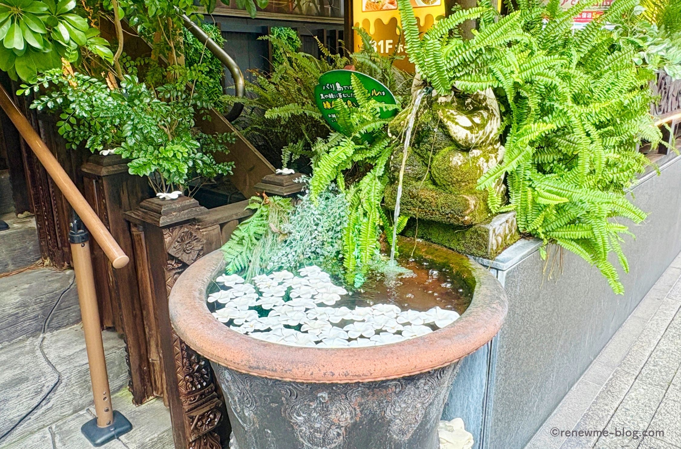 パセラの森入口