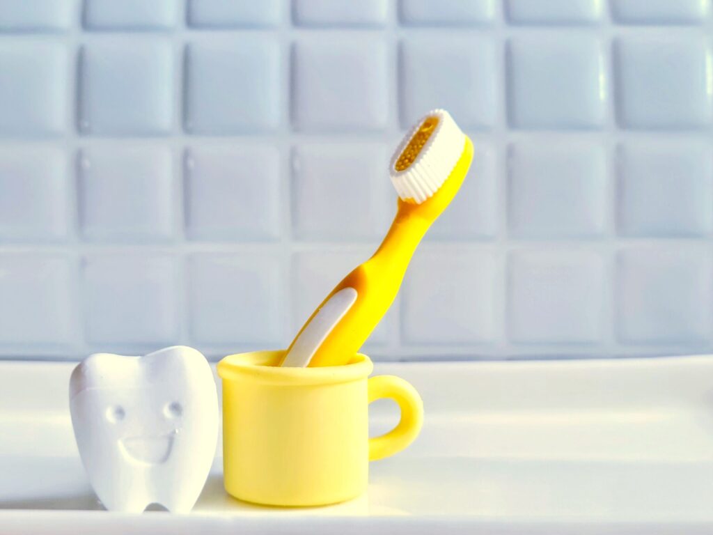 歯の置物とコップと歯ブラシ